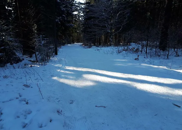 Kupfer Apartman Schmiedefeld am Rennsteig
